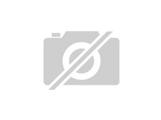 Suche privaten Sponsor für Geschäftseröffnung